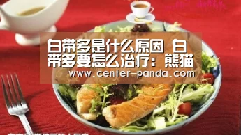 熊猫APP