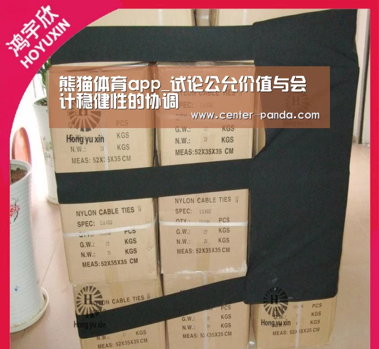 熊猫体育app_试论公允价值与会计稳健性的协调(图2) 熊猫APP