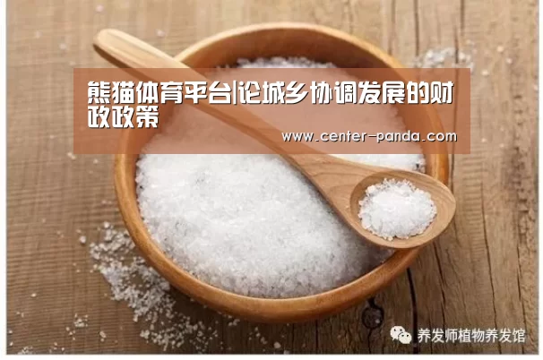 熊猫体育平台|论城乡协调发展的财政政策(图1) 熊猫体育app
