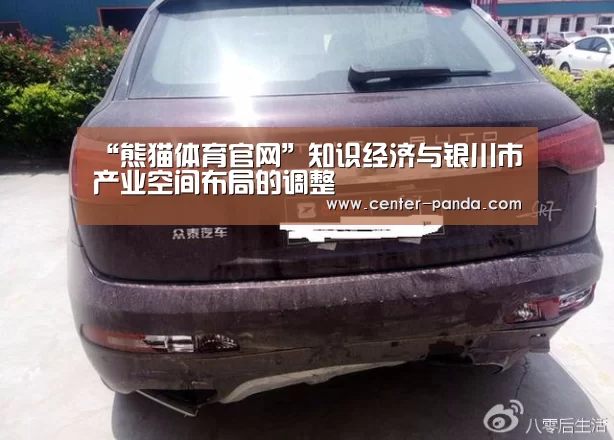 “熊猫体育官网”知识经济与银川市产业空间布局的调整(图3) 熊猫体育官网