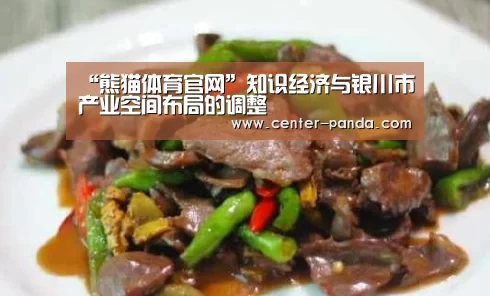 “熊猫体育官网”知识经济与银川市产业空间布局的调整(图2) 熊猫APP