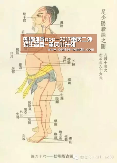 熊猫体育官网