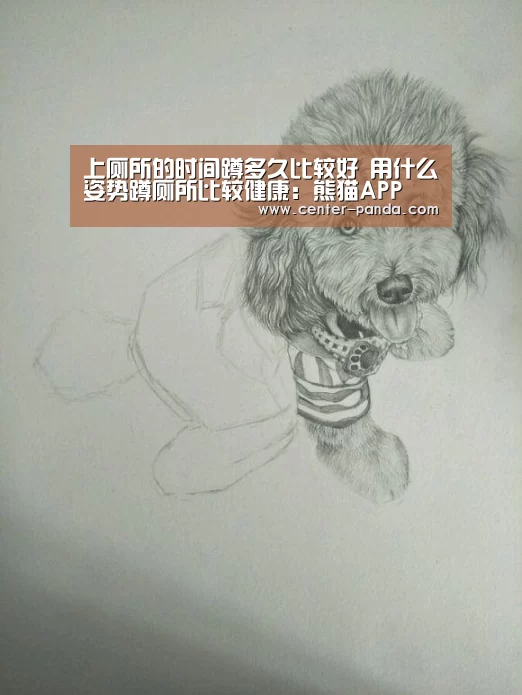 上厕所的时间蹲多久比较好 用什么姿势蹲厕所比较健康:熊猫APP(图1) 熊猫APP