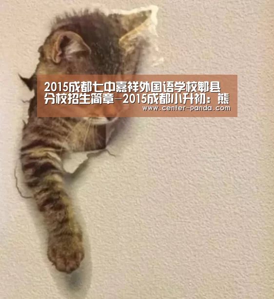 2015成都七中嘉祥外国语学校郫县分校招生简章-2015成都小升初:熊猫APP(图3) 熊猫体育app