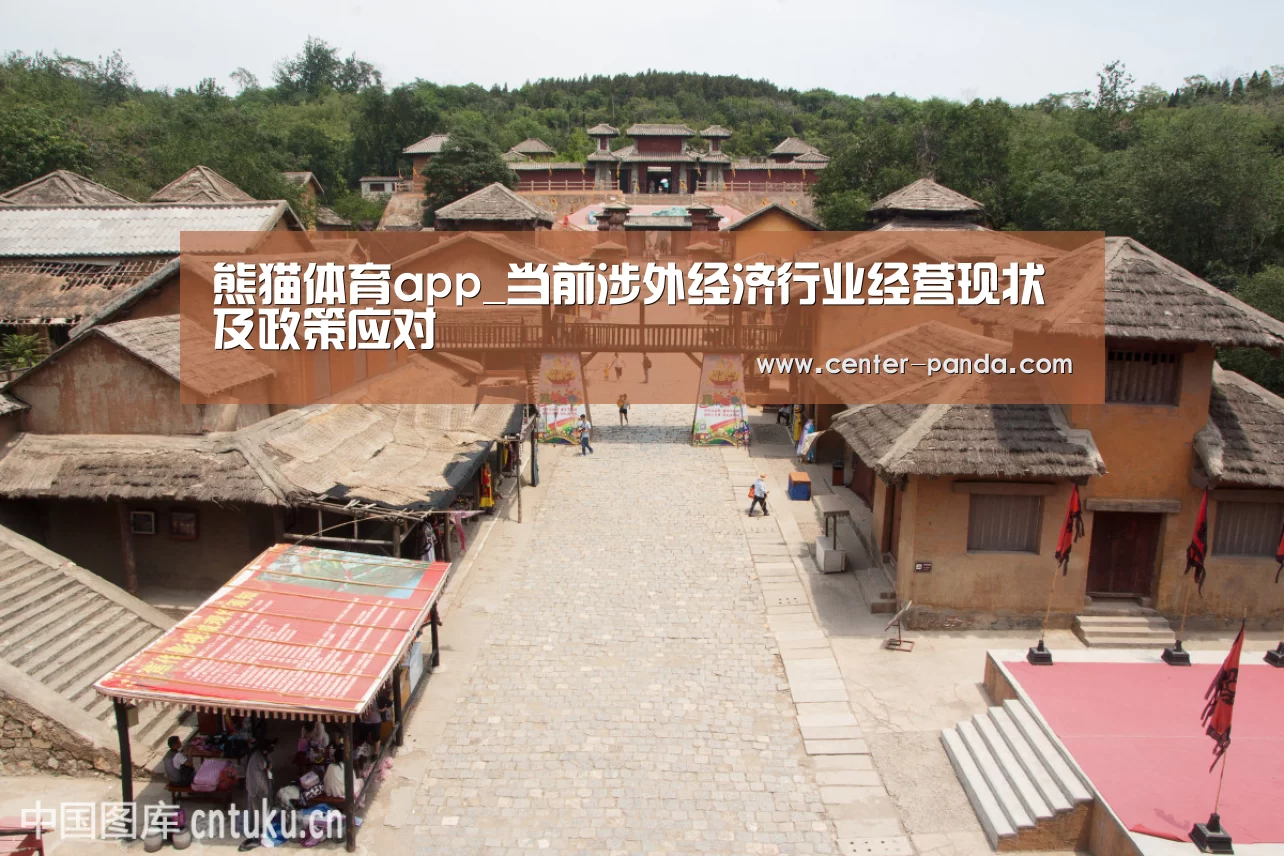 熊猫体育app_当前涉外经济行业经营现状及政策应对(图3) 熊猫体育app